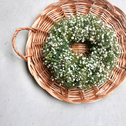 癒しのユーカリポポラスリース☆ リース Atelier咲趣/フルールウルーズ