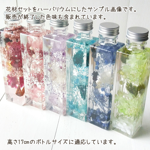 花材セット ピンク (プリザーブドフラワー ハーバリウム 花材) その他  