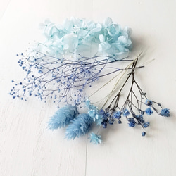 花材セット ブルー (プリザーブドフラワー ハーバリウム 花材) その他