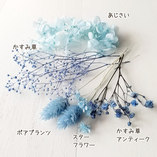 花材セット ブルー (プリザーブドフラワー ハーバリウム 花材