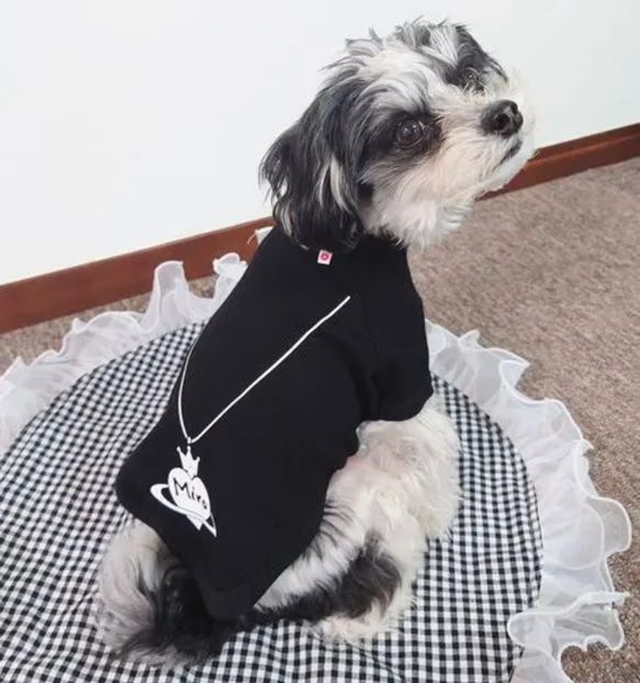 名入れペンダントヘッドデザインスウェット♡犬服ペット服 3枚目の画像