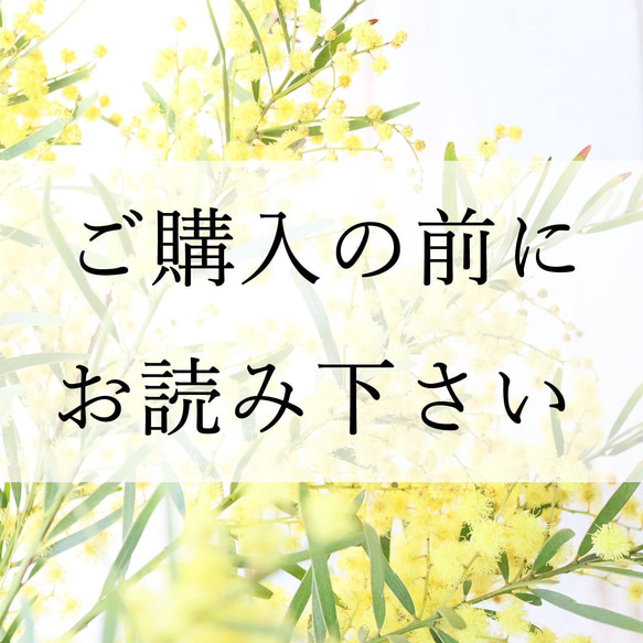 【 ご購入の前にお読み下さい 】 1枚目の画像