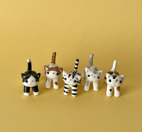 しっぽミニ    白黒ハチワレ猫、茶白猫、キジトラ猫、白グレー猫、三毛猫 1枚目の画像