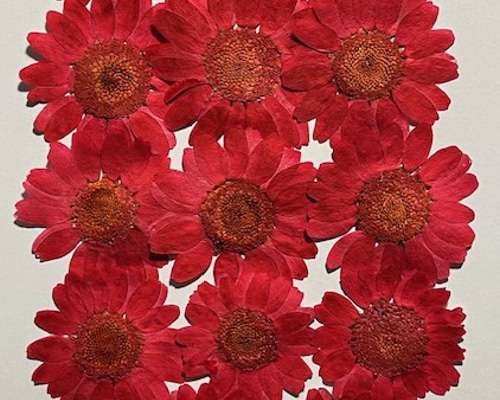 607a66ae3730cfee1ba5457555f723