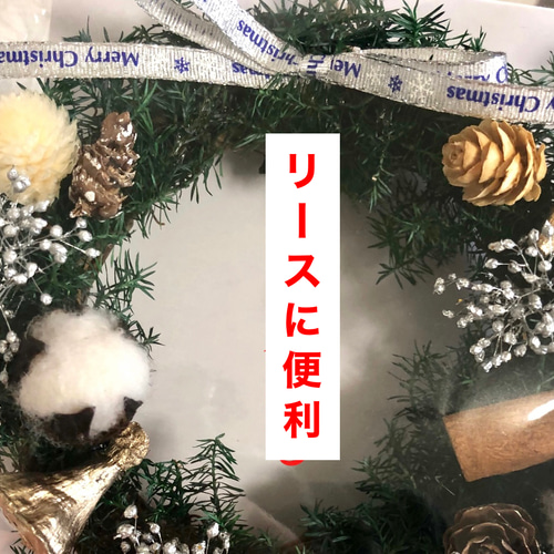 ヒムロスギ ハーバリウム、クリスマス、リース等に便利です その他素材 