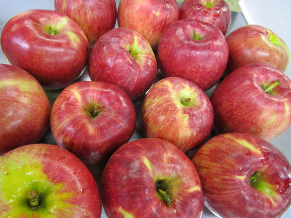 【ギフトにおすすめ♪】国産乾燥りんご5種詰め合わせ 2枚目の画像