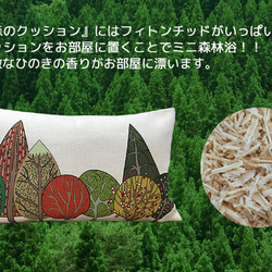 Forest Cushion Woods 01 -柏樹的香味- 第8張的照片