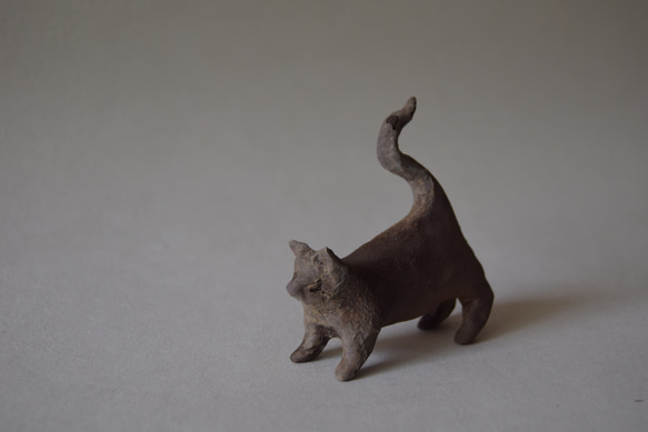 猫 1枚目の画像