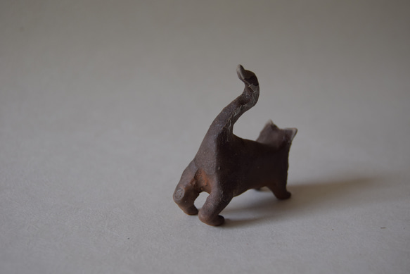 猫 2枚目の画像