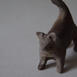 猫 4枚目の画像