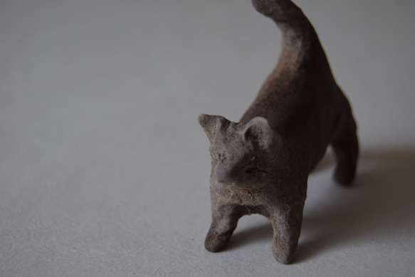 猫 4枚目の画像