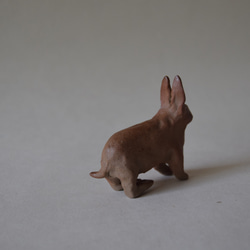 うさぎ 2枚目の画像