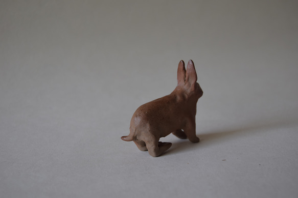 うさぎ 2枚目の画像