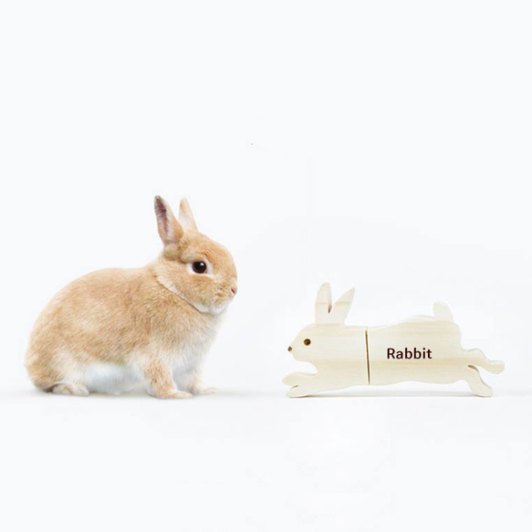 兔子 | 手工原木 USB 隨身碟客製姓名 / 客製化 客製禮物 鑰匙圈 生日禮物 情人禮物 第1張的照片