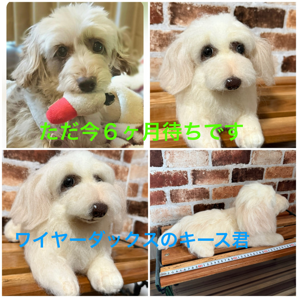 羊毛フェルトオーダー （抱っこ出来る大きさ）シェルティ トイ