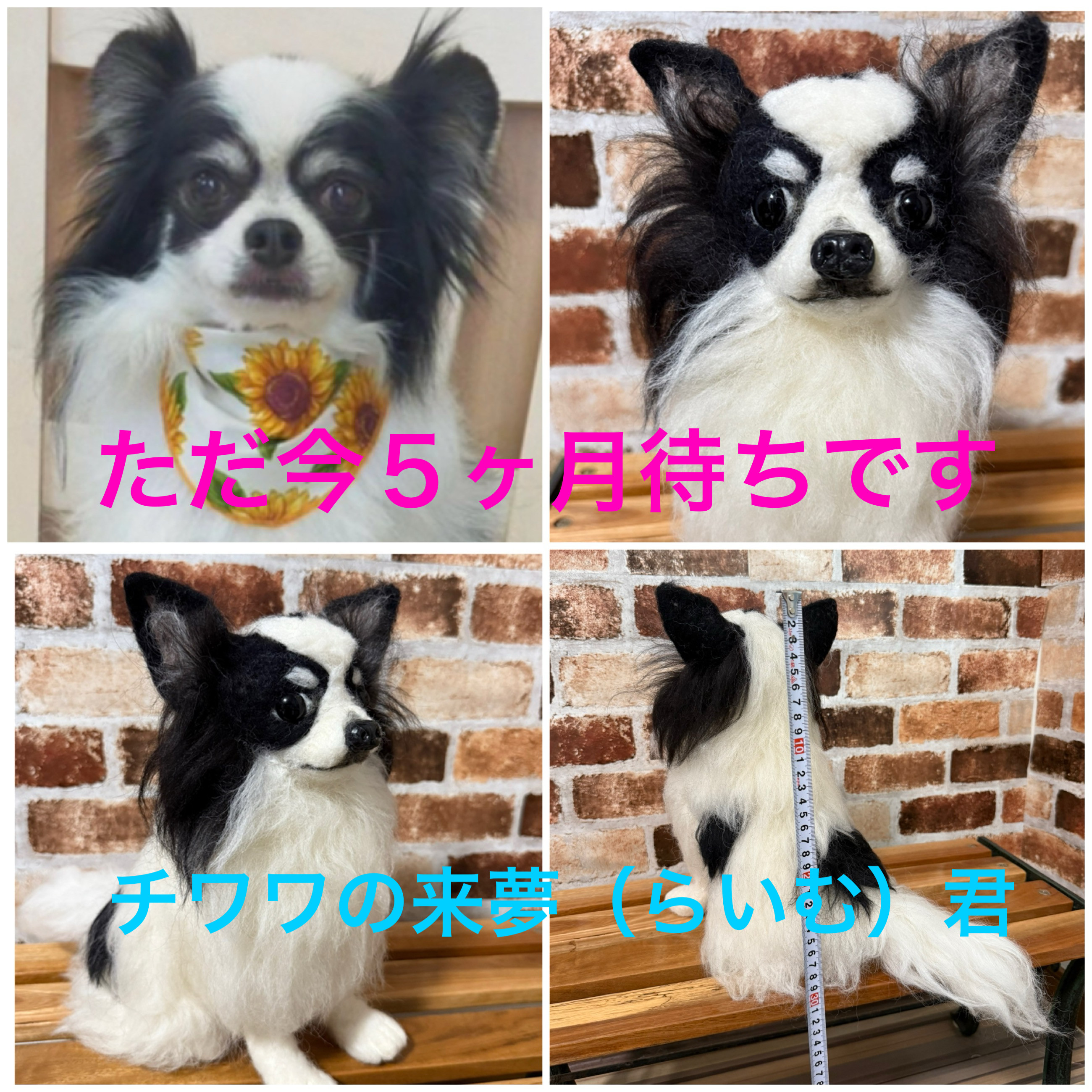 羊毛フェルトオーダー （抱っこ出来る大きさ）シェルティ トイ