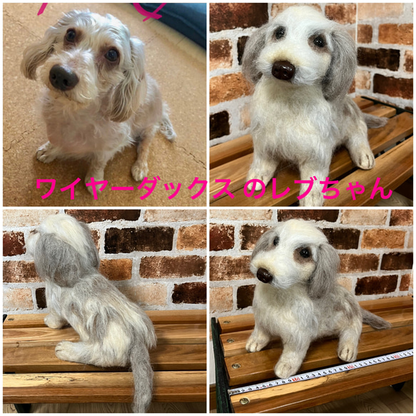 羊毛フェルトオーダー  （抱っこ出来る大きさ）シェルティ  トイプードル ダックス 柴犬 コーギー チワワ他 相談してね 19枚目の画像