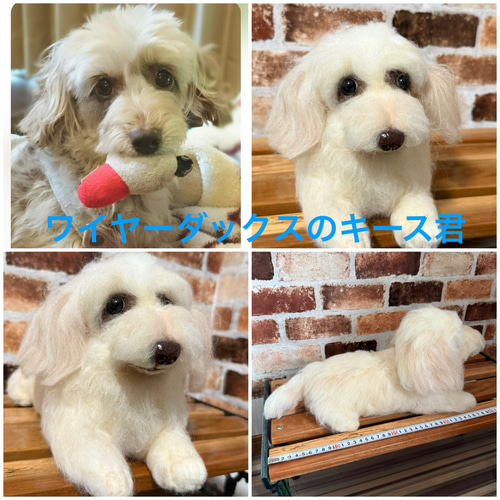 羊毛フェルトオーダー （抱っこ出来る大きさ）シェルティ トイ