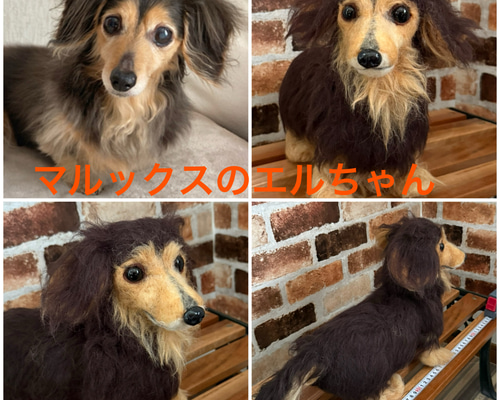 羊毛フェルト　オーダー 羊毛フェルトオーダー （抱っこ出来る大きさ）シェルティ トイプードル