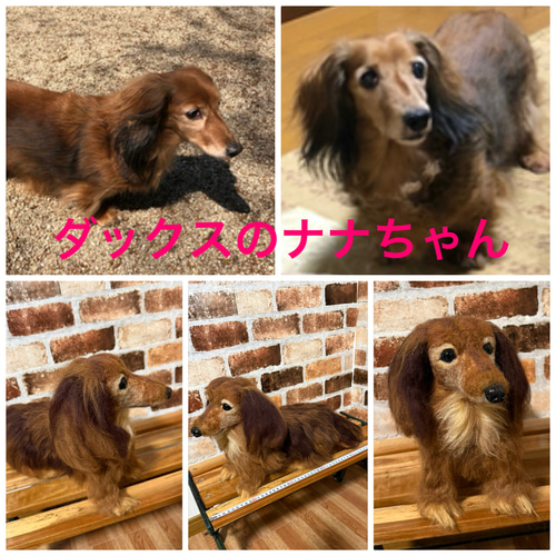 羊毛フェルトオーダー （抱っこ出来る大きさ）シェルティ トイプードル