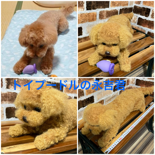 handmade 羊毛フェルト ☆ トイプードル 犬 オーダー - メルカリ