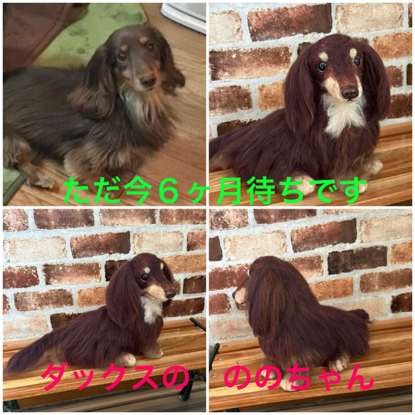 ピザ様♡オーダー専用　羊毛フェルトトイプードル ミサコ様専用 羊毛フェルト おすわり12cm トイプードル （羊毛