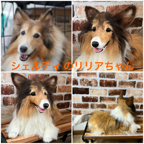 羊毛フェルトオーダー （抱っこ出来る大きさ）シェルティ トイ