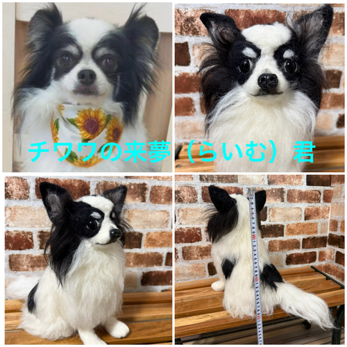 羊毛フェルトオーダー （抱っこ出来る大きさ）シェルティ トイ