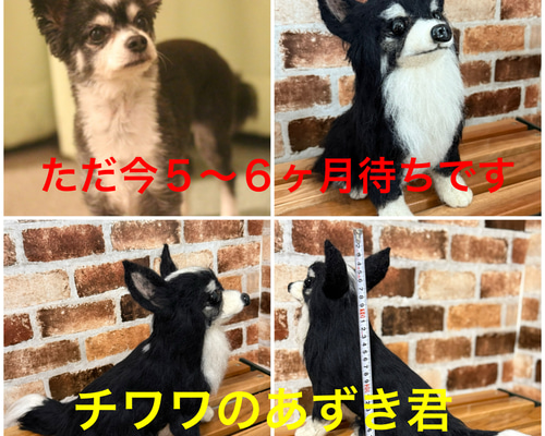 寒くてお布団から出られないよ　オーダー　犬　羊毛フェルト 寒くてお布団から出られないよ オーダー 犬 羊毛フェルト 寒くてお