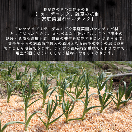 長崎ひのきでつくったウッドチップ 大容量 箱入り【10L】 檜 桧