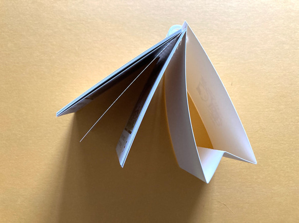 毎日を笑顔にする　猫の日めくりカレンダー 3枚目の画像