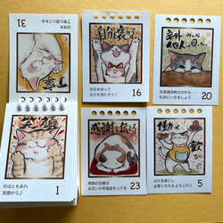 毎日を笑顔にする　猫の日めくりカレンダー 4枚目の画像