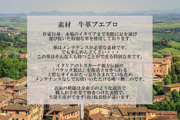  第16張的照片