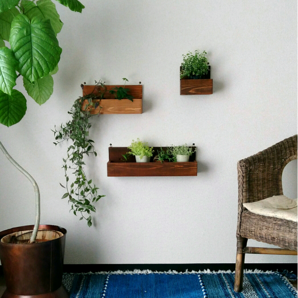 ウォール BOXシェルフ （3点セット）