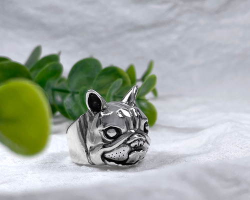 11d58fb3c45489cfb43acdb04a29ba