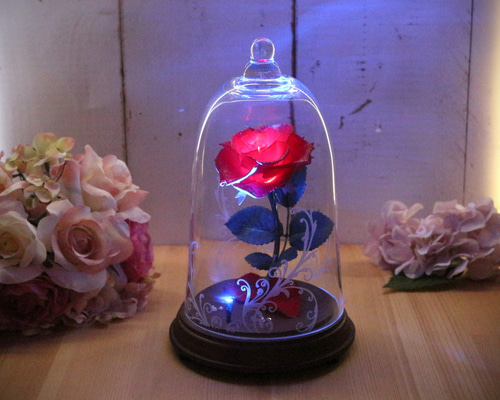 5ac46ea54933bb9b8131a46b6e0c12