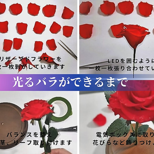 母の日 美女と野獣 薔薇 プリザーブドフラワー 魔法の 光る赤い バラ