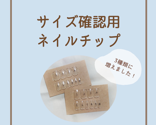 サイズ確認用ネイルチップ その他素材 CLEAR 通販 6479030