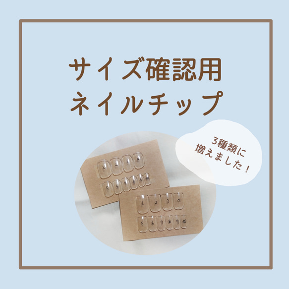 サイズ確認用ネイルチップ その他素材 CLEAR 通販 6479030