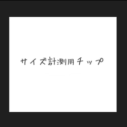 サイズ計測用チップ 1枚目の画像