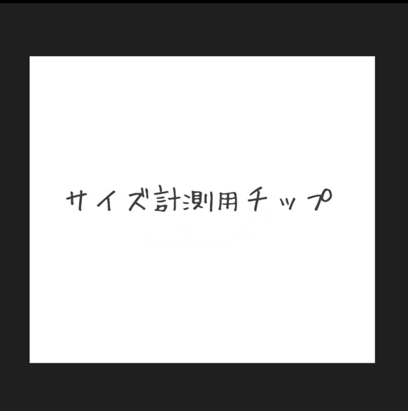 サイズ計測用チップ 1枚目の画像