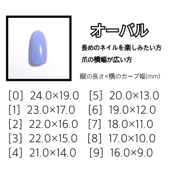 サイズ計測用チップ 2枚目の画像