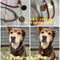 【3色編みタイプ】迷子札&ドッグチョーカー［各色共通オーダー用〕 7枚目の画像