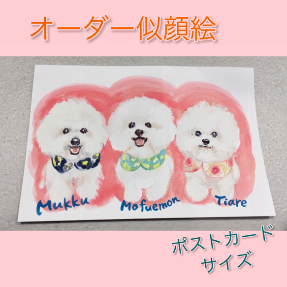 ワンコ様3 ワンコ様3