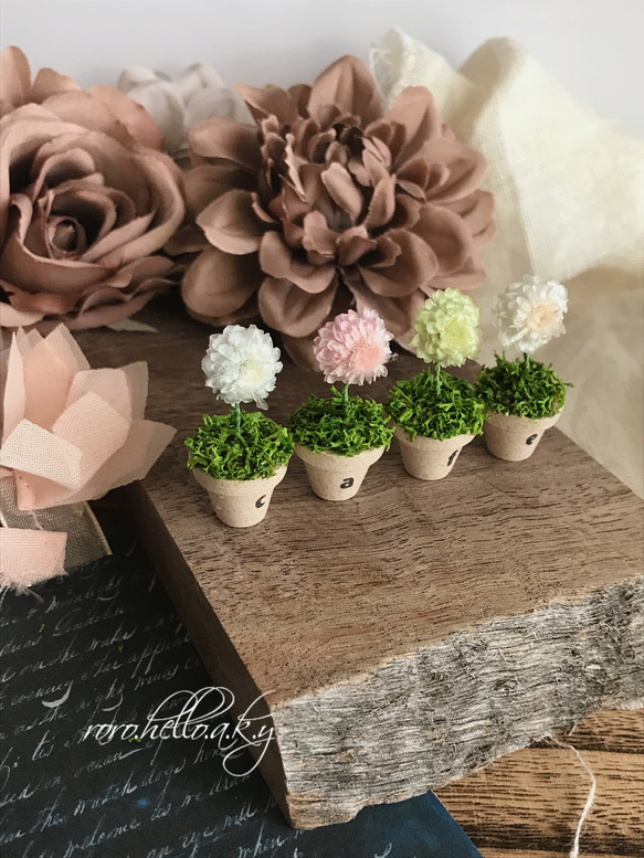 ミニチュア 鉢植えフラワー】ミニチュア雑貨 ナチュラル雑貨 その他