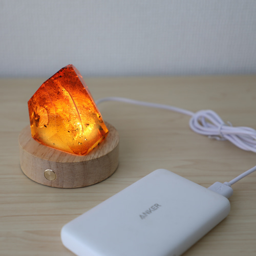 〜琥珀出品〜 人工琥珀【鳥の羽Ver】artificial amber 立体・オブジェ ニケル