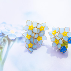 【勿忘草-Full*Bloom-】春を着飾るピアス※飾れるフォトパネル付！ 3枚目の画像