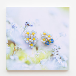 【勿忘草-Full*Bloom-】春を着飾るイヤリング※飾れるフォトパネル付！ 4枚目の画像