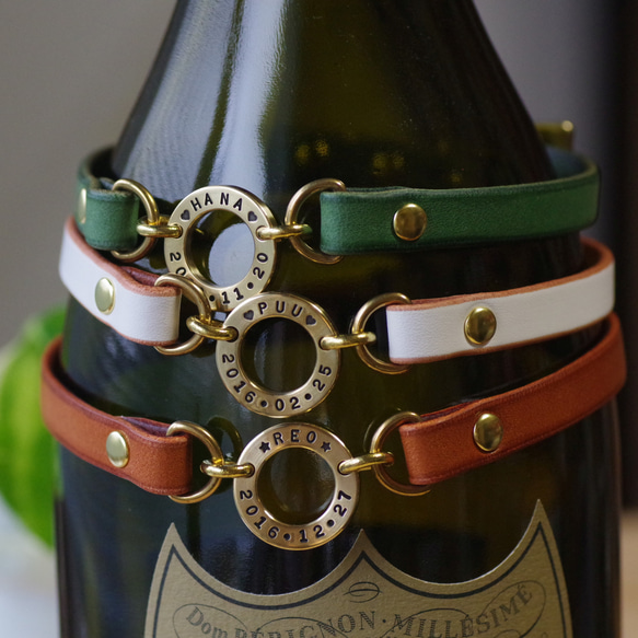 迷子札チョーカー リングモデル（Mサイズ・穴あき） リード