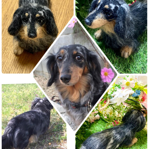 オーダー 羊毛フェルト 犬 ぬいぐるみ ペットロス うちの子 20cm